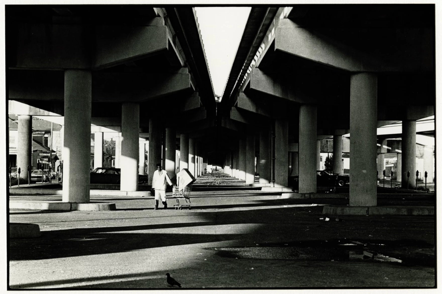 Jessica Dandridge on the Claiborne Overpass - Dirty Coast