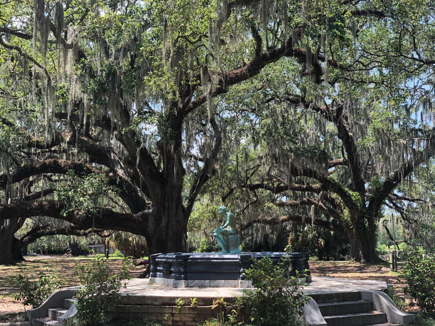 New Orleans City Park - Dirty Coast