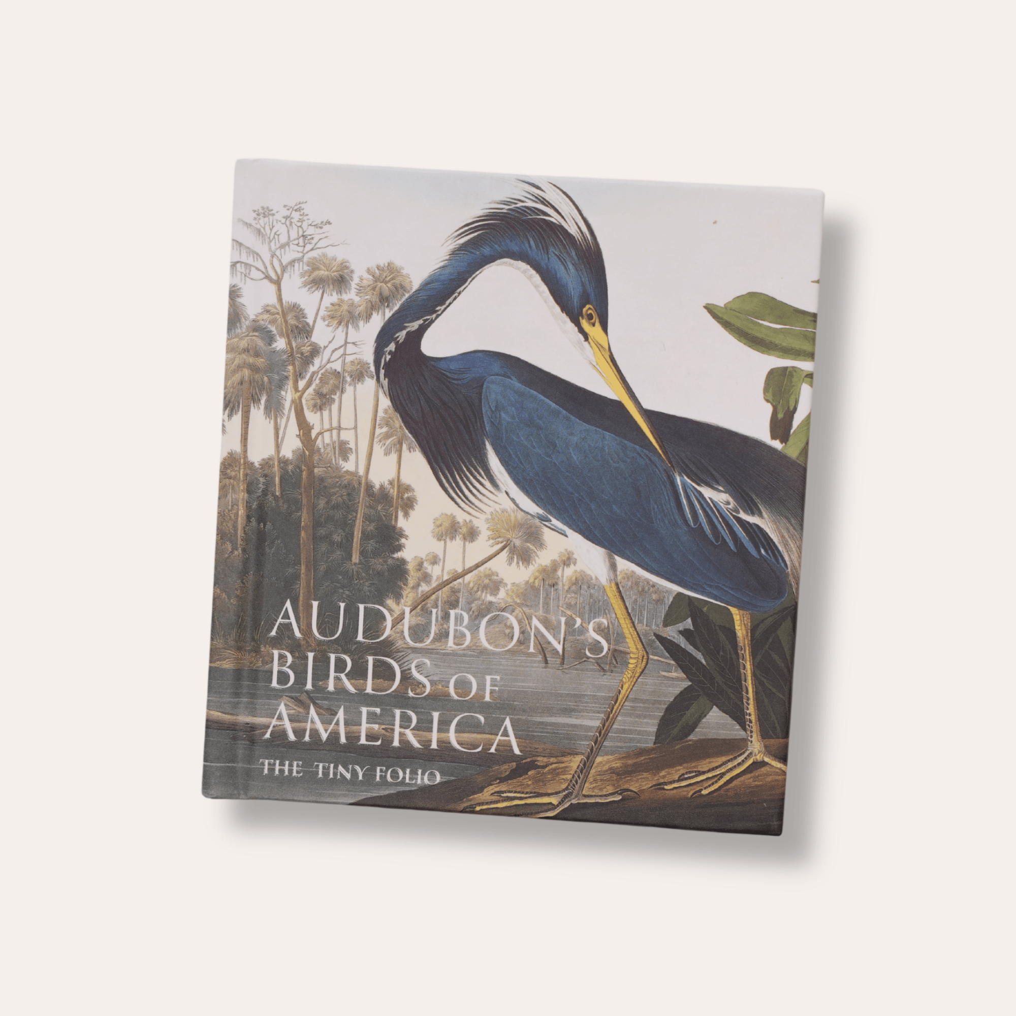 Audubon's Birds of America: The National Audubon Society Folio - Dirty Coast