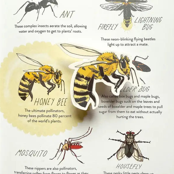 Louisiana Honey Bee Sticker