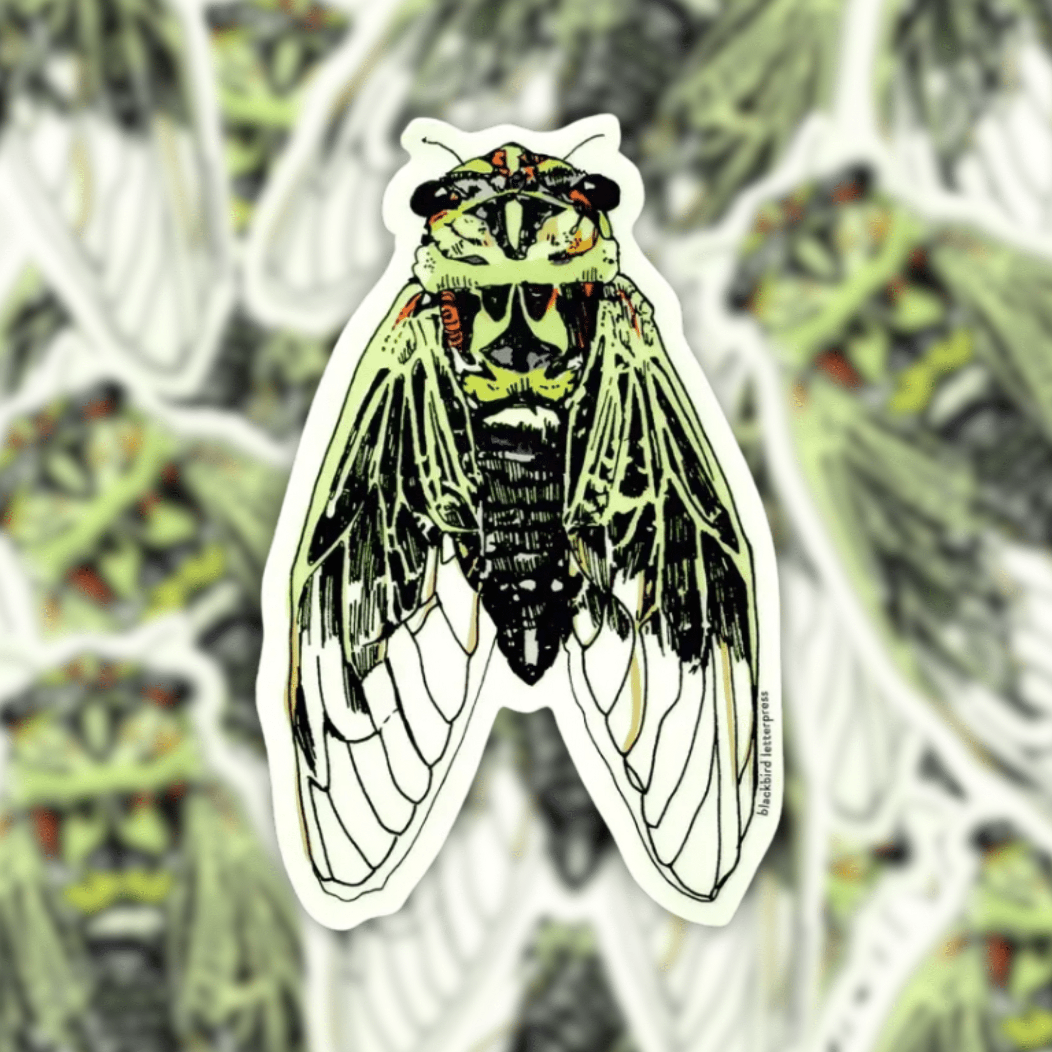 Cicada Sticker - Dirty Coast