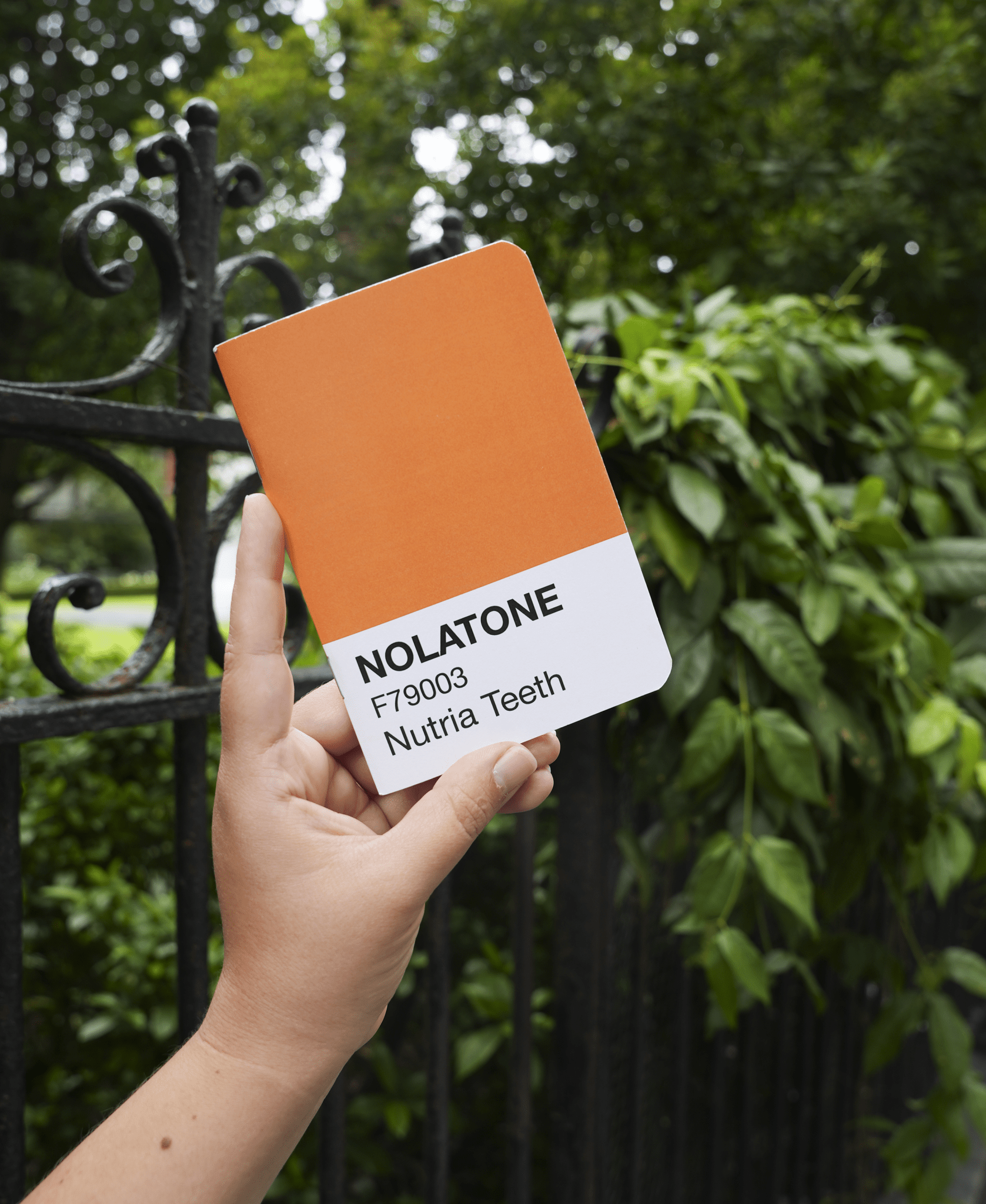 NOLATONE Notebook : Nutria Teeth - Dirty Coast
