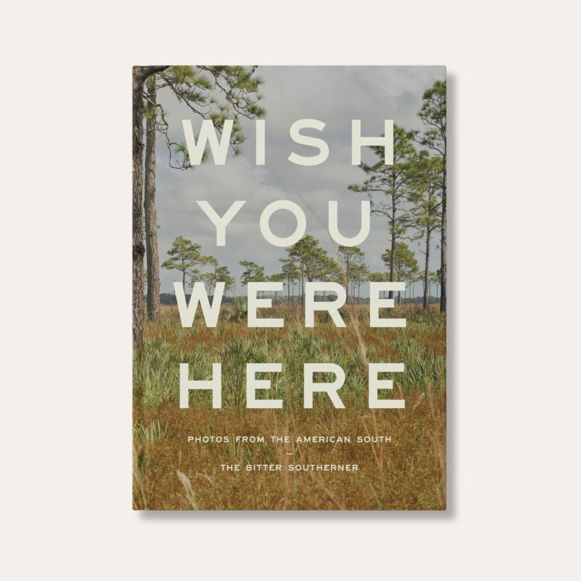 Wish You Were Here - Dirty Coast