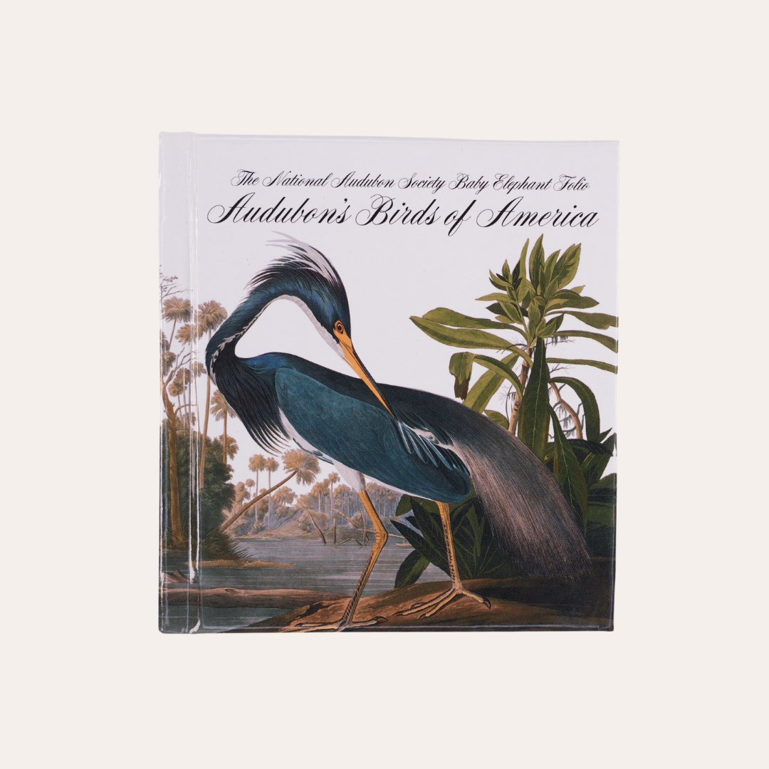 Audubon's Birds of America: The National Audubon Society Baby Elephant Folio - Dirty Coast Press