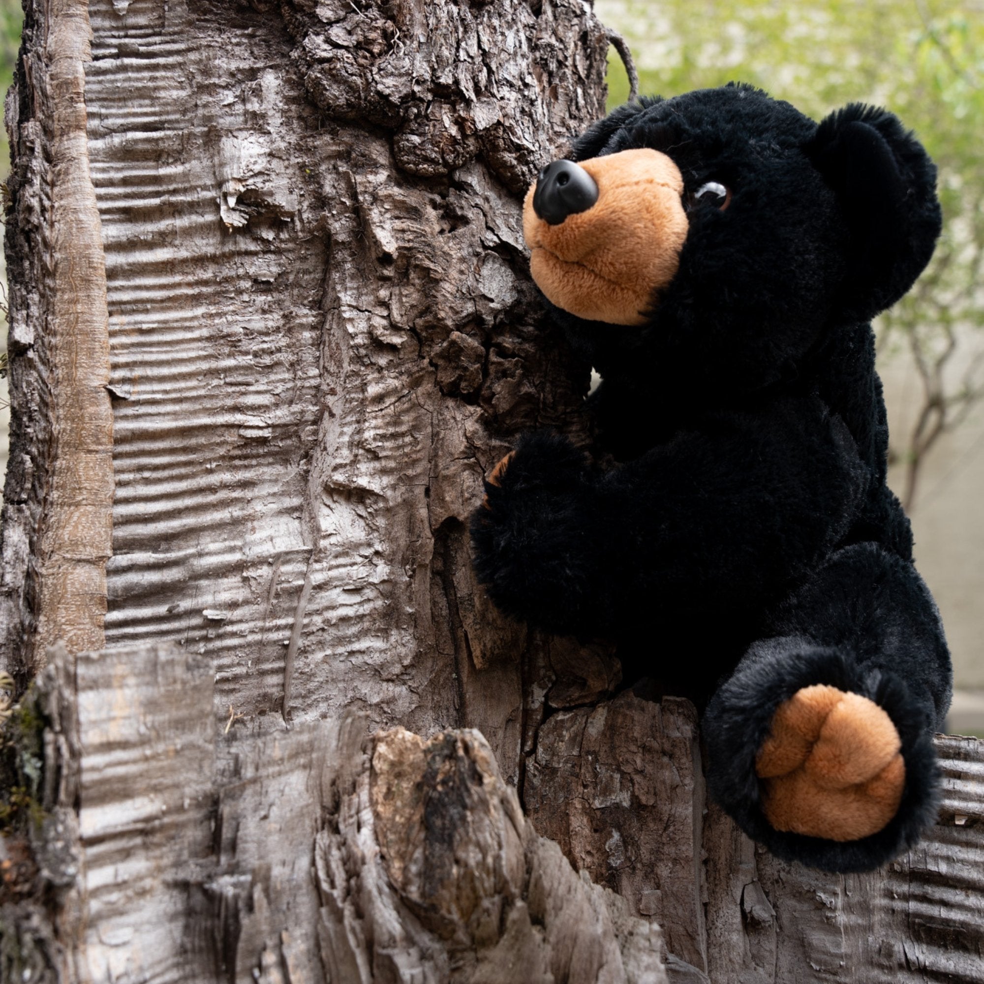 Black Bear Plush - Dirty Coast Press