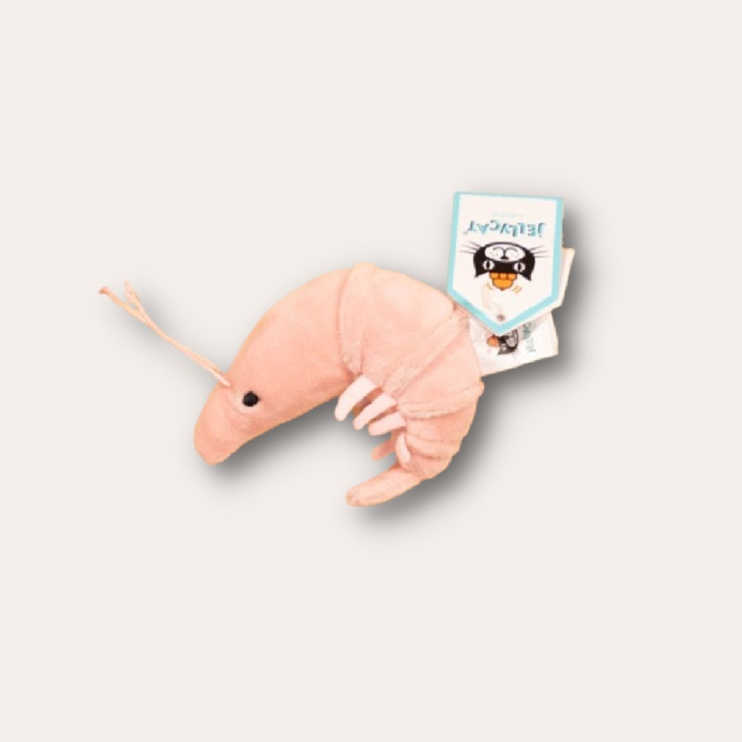 JellyCat - Axolotl – Fetch Mkt.