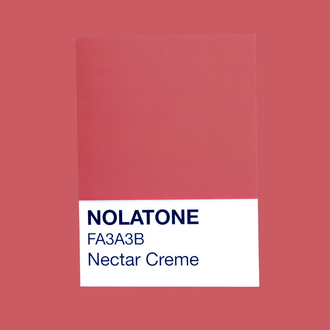 Nolatones Postcard - Nectar Creme - Dirty Coast Press