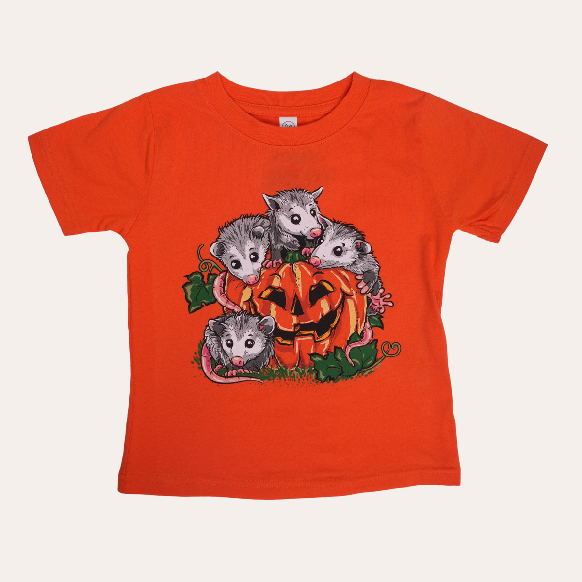 Pumpkin Possums Kids