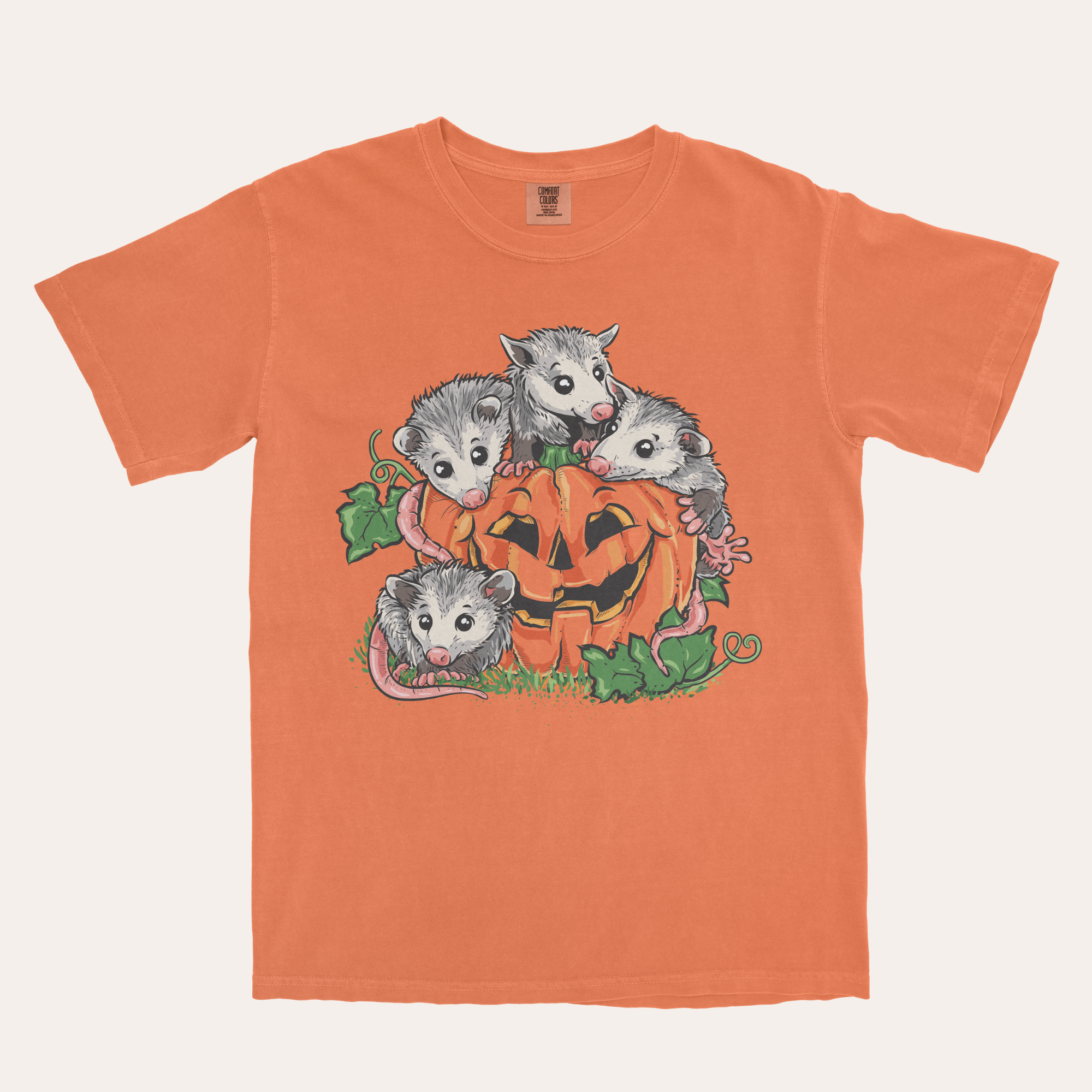 Pumpkin Possums