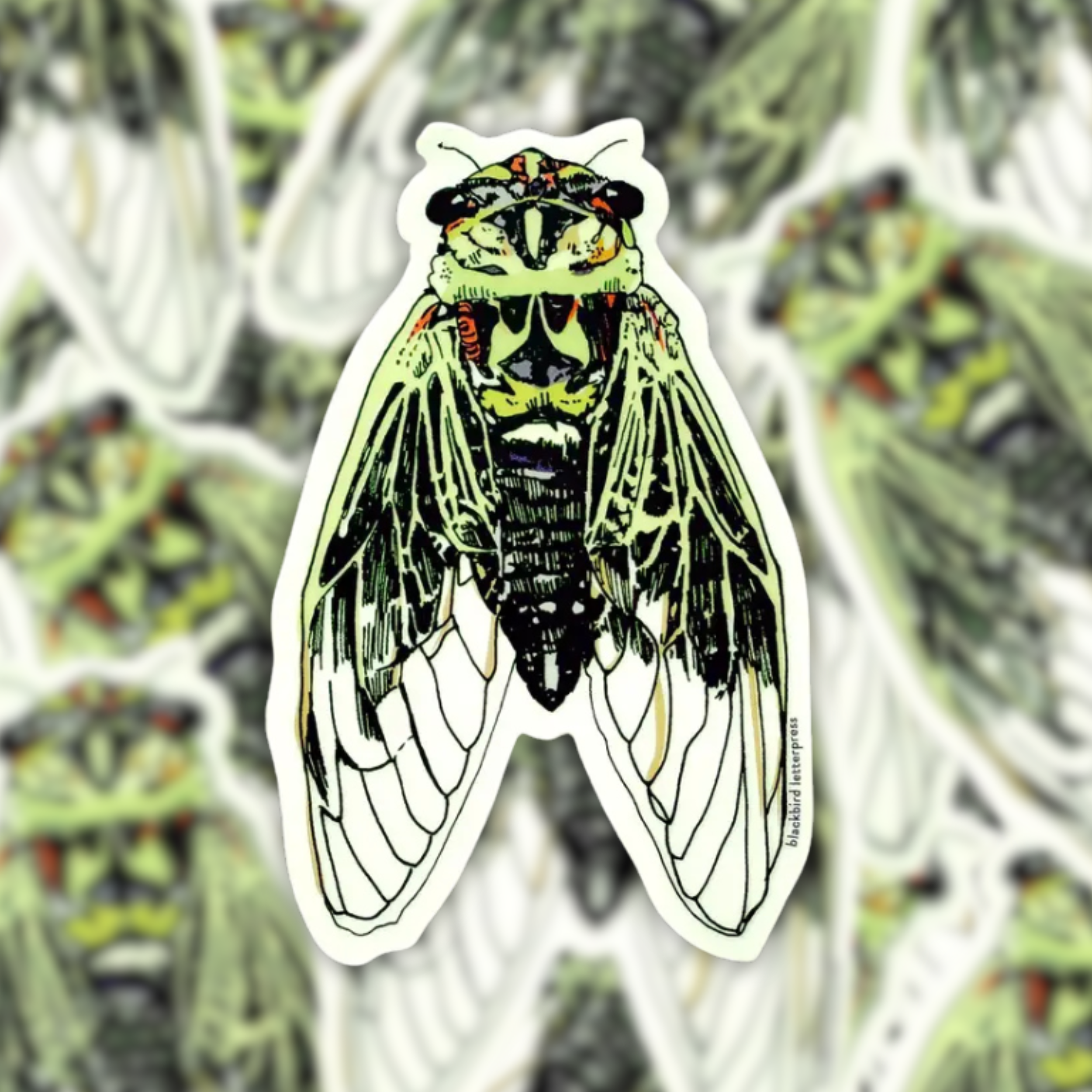 Cicada Sticker