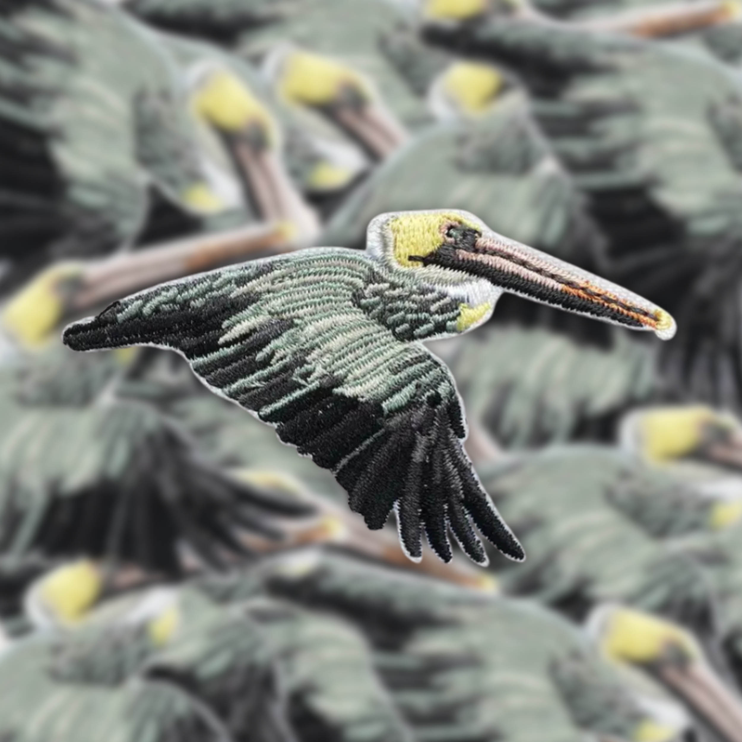 Brown Pelican Patch