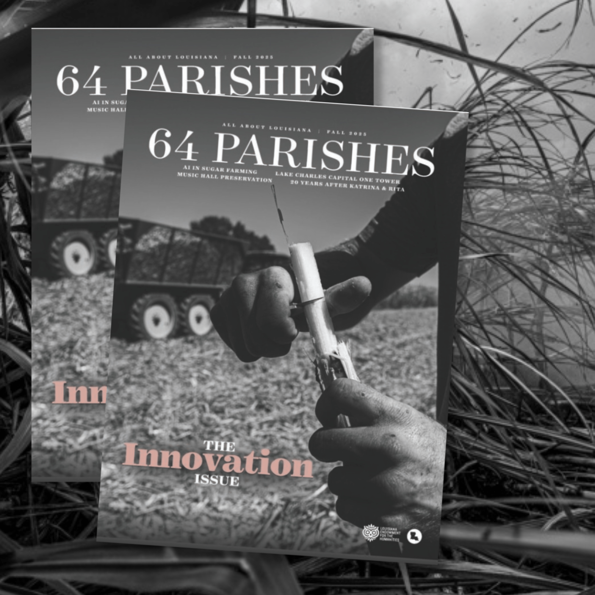 64 Parishes Fall 2025 Magazine - Dirty Coast