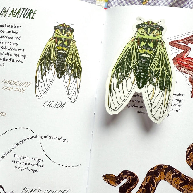 Cicada Sticker