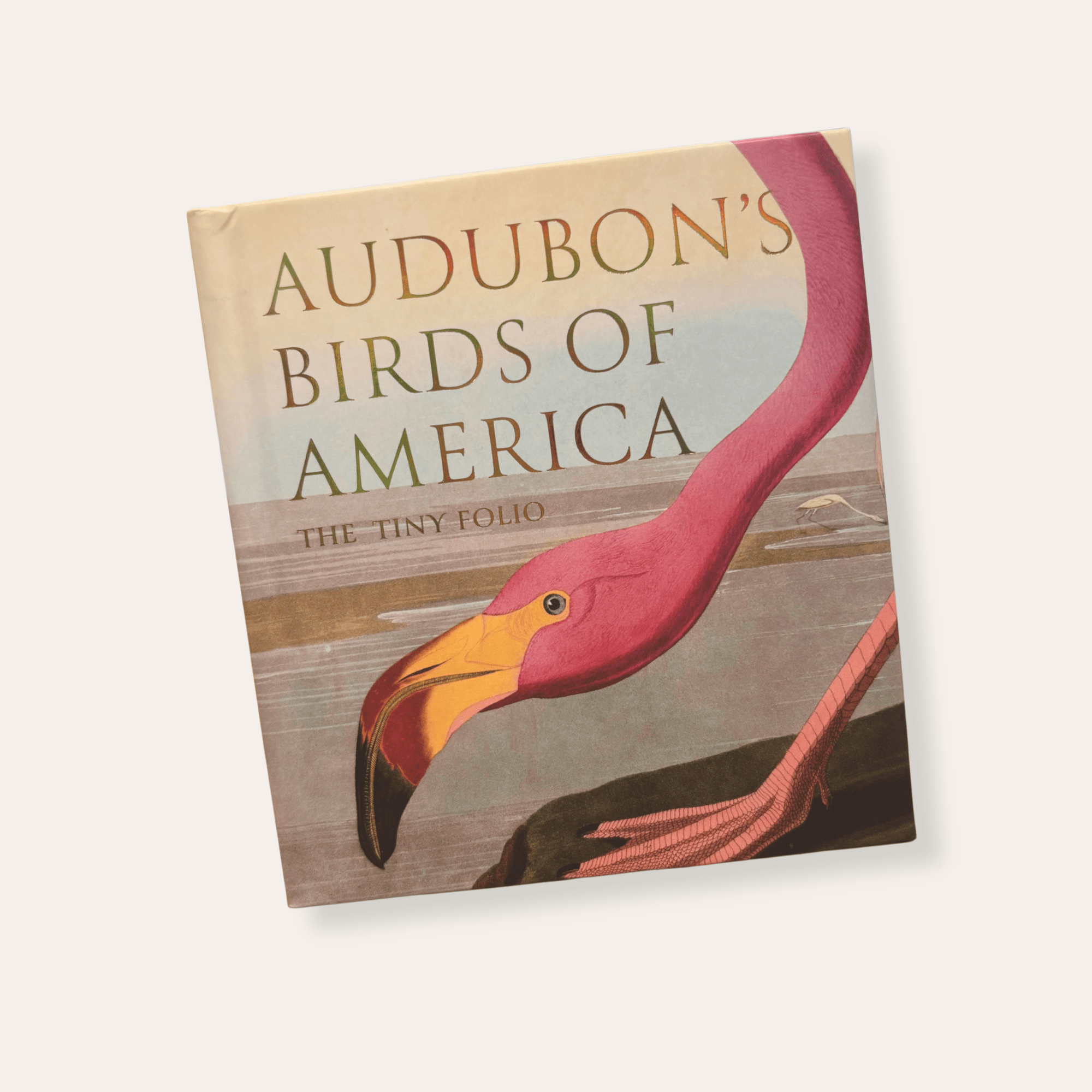Audubon's Birds of America: The National Audubon Society Folio - Dirty Coast