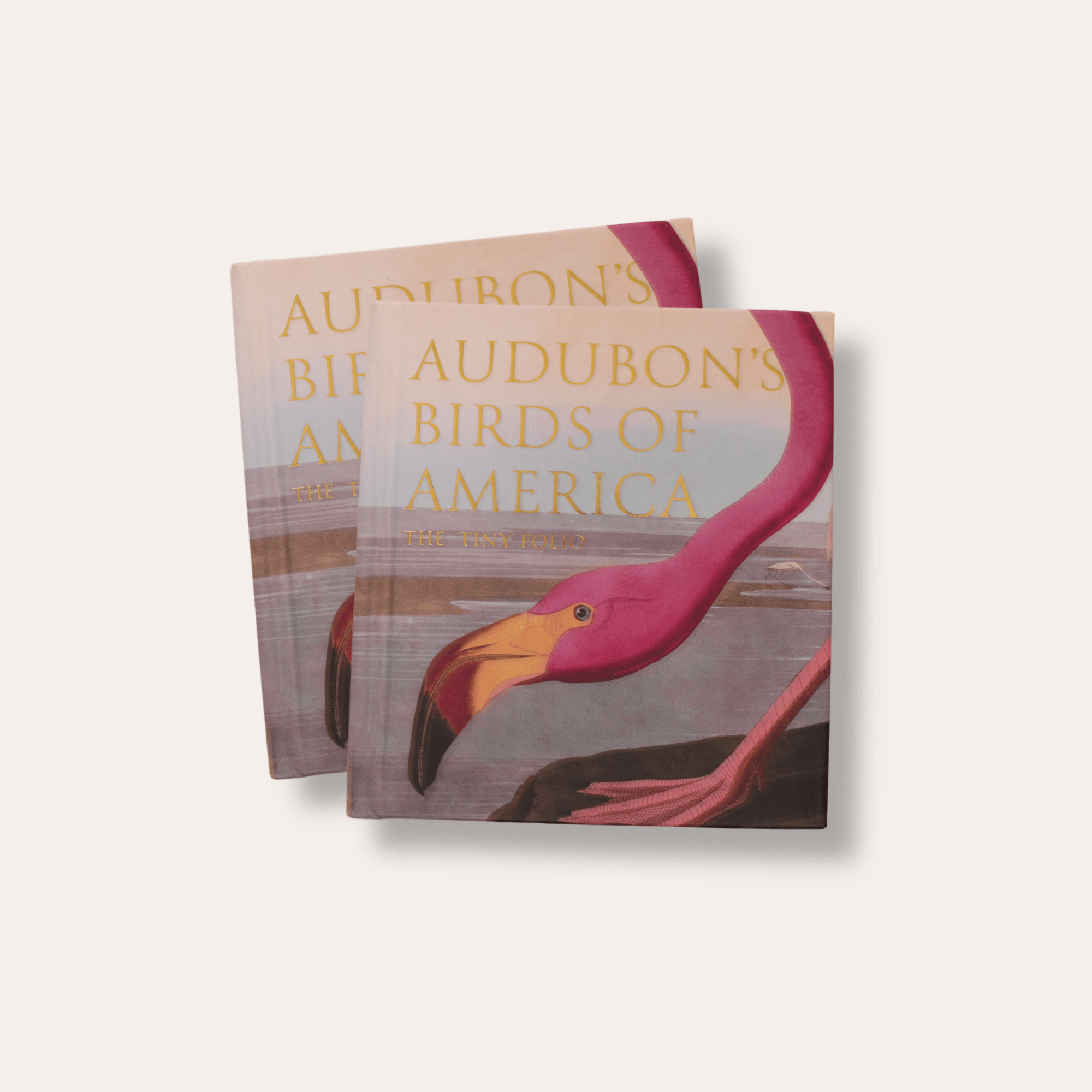 Audubon's Birds of America: The National Audubon Society Folio - Dirty Coast