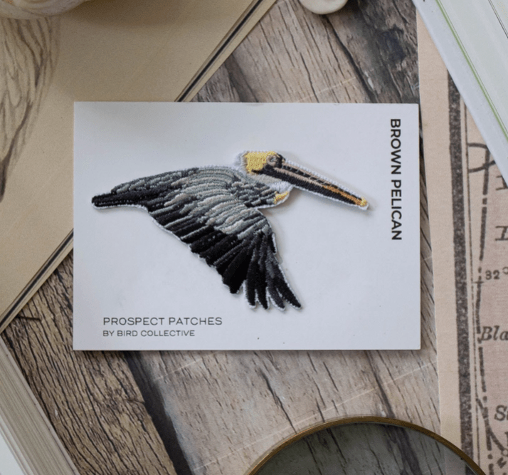 Brown Pelican Patch - Dirty Coast