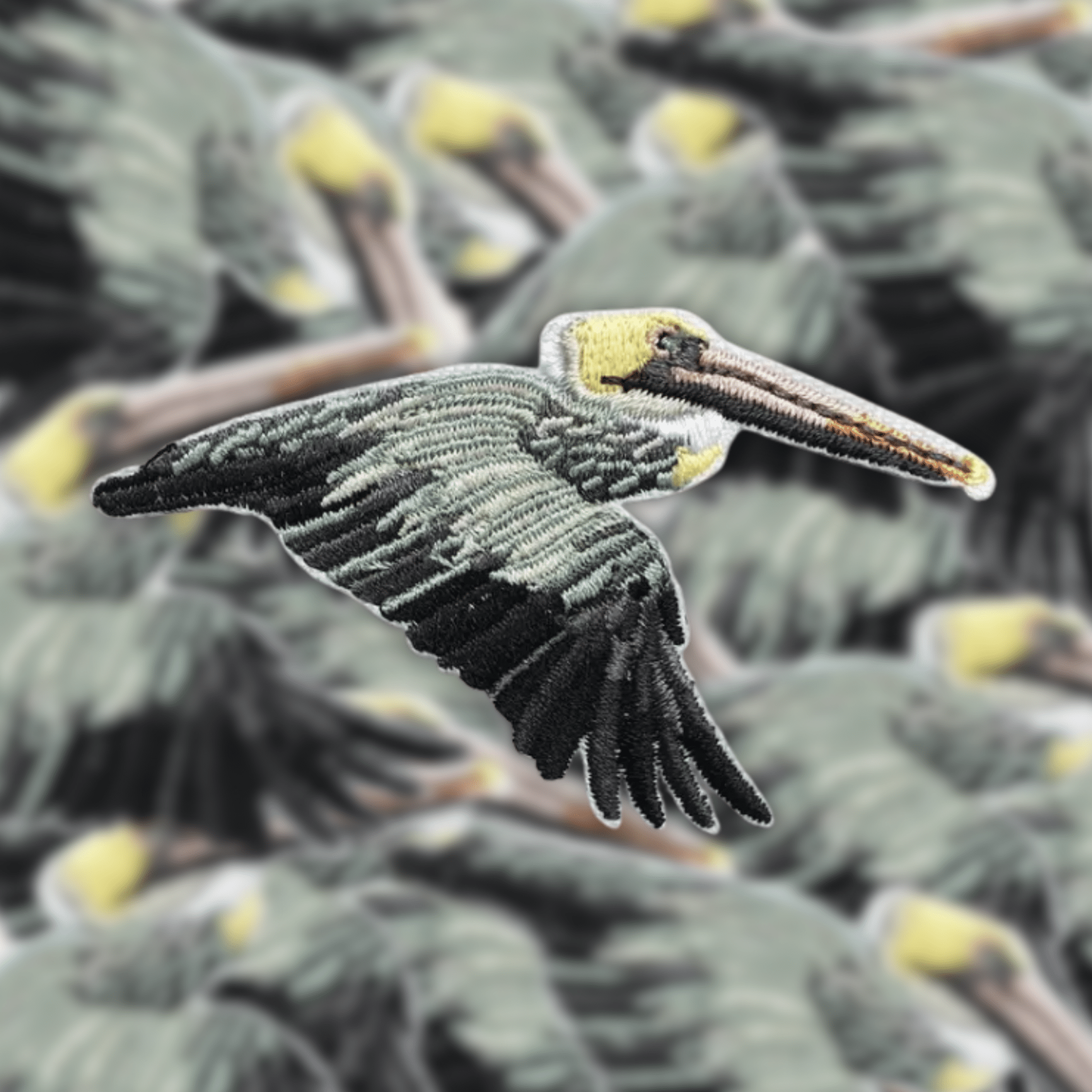 Brown Pelican Patch - Dirty Coast