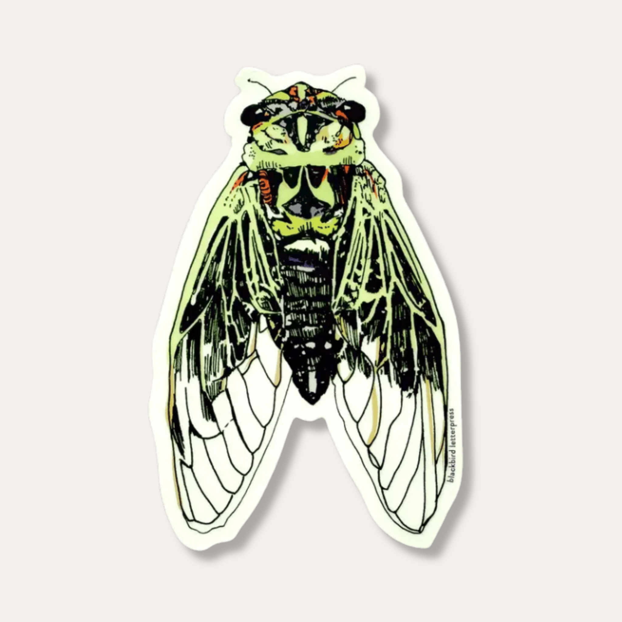 Cicada Sticker - Dirty Coast