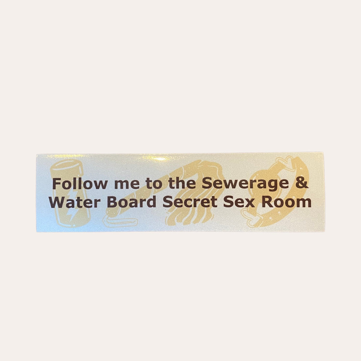 Follow Me to The S&WB Secret Sex Room Car Magnet