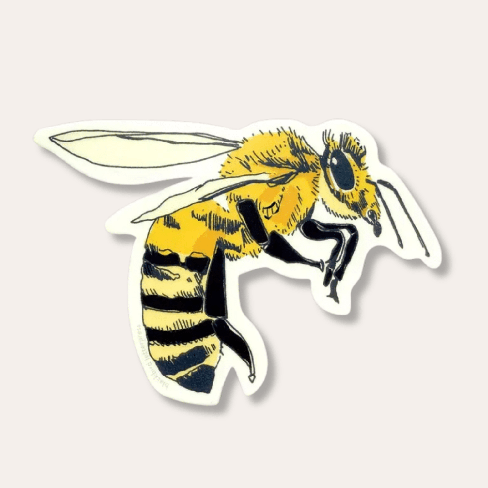 Louisiana Honey Bee Sticker - Dirty Coast