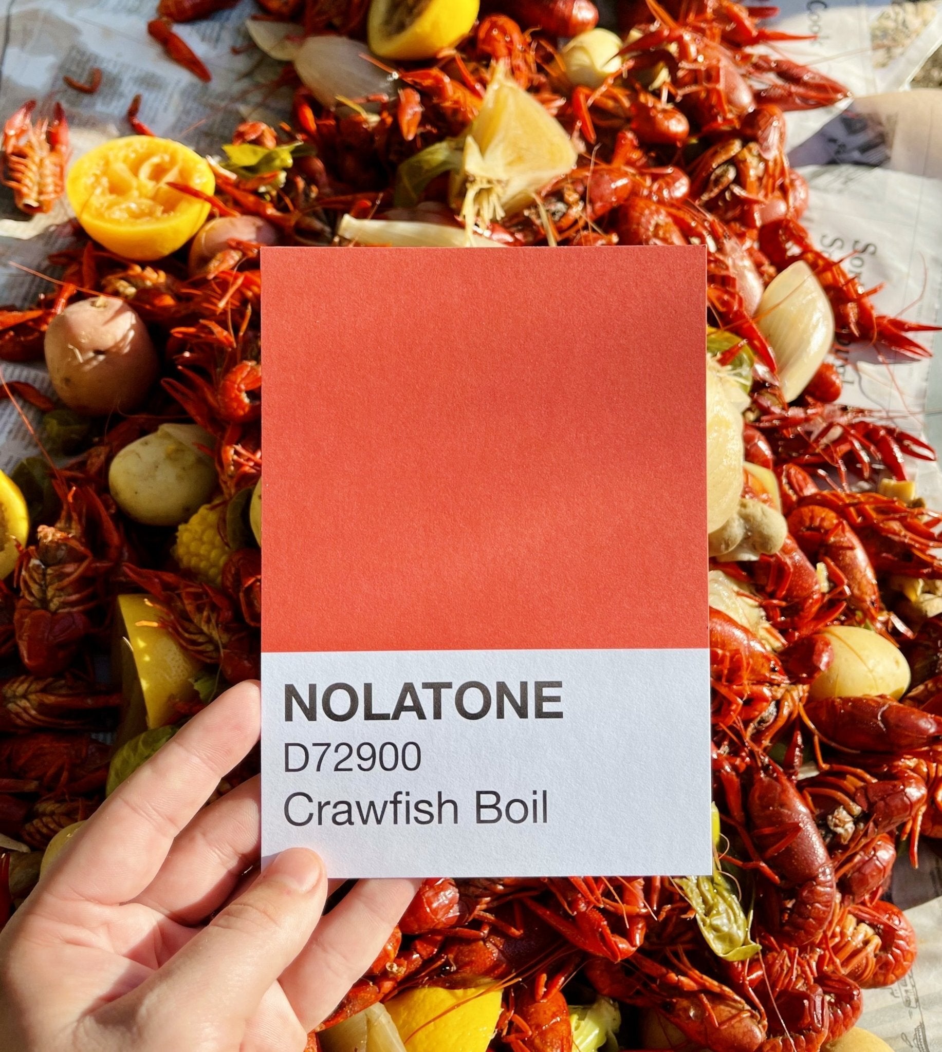 Nolatones Postcard - Crawfish Boil