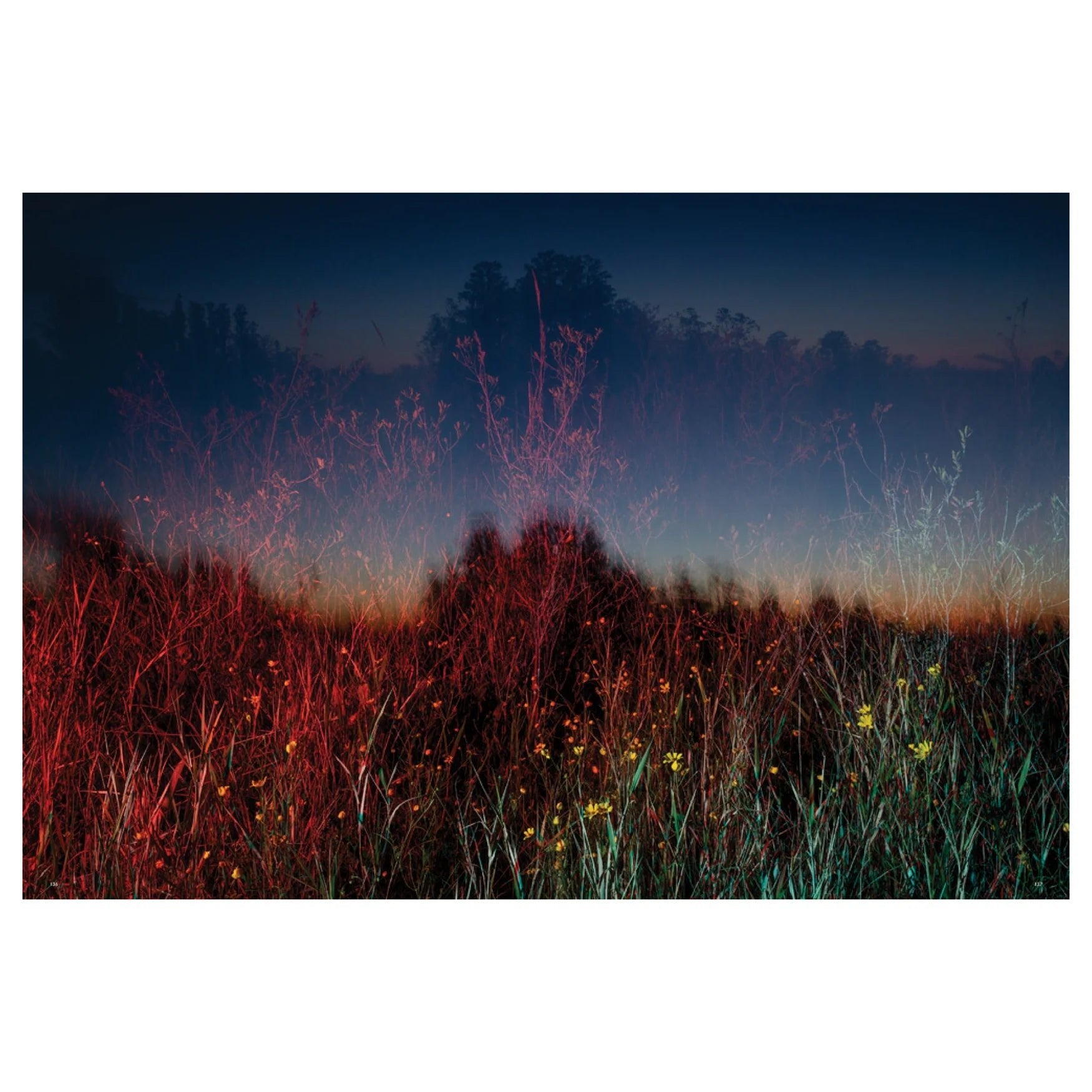 Trembling Earth - Dirty Coast