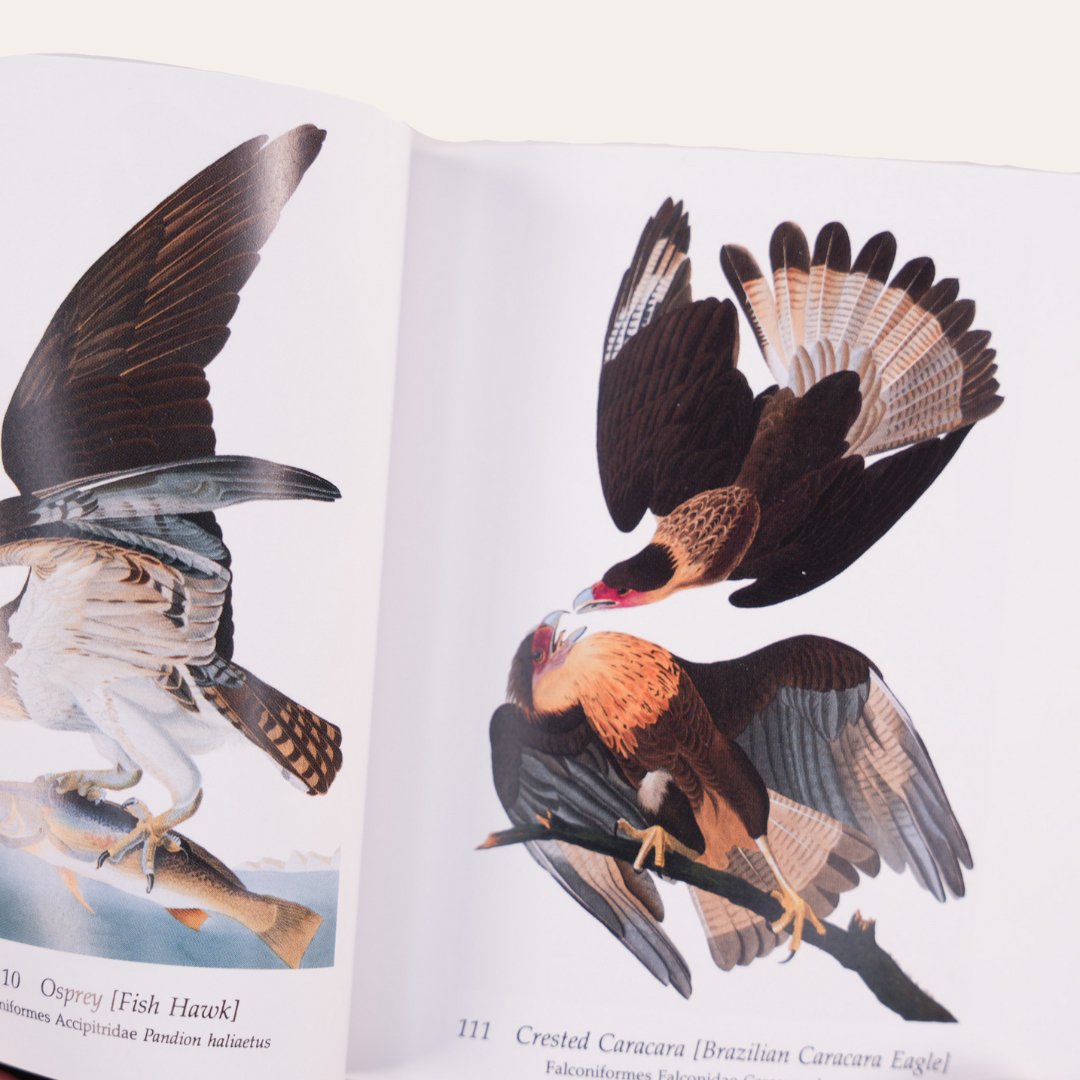 Audubon's Birds of America: The National Audubon Society Baby Elephant Folio - Dirty Coast Press