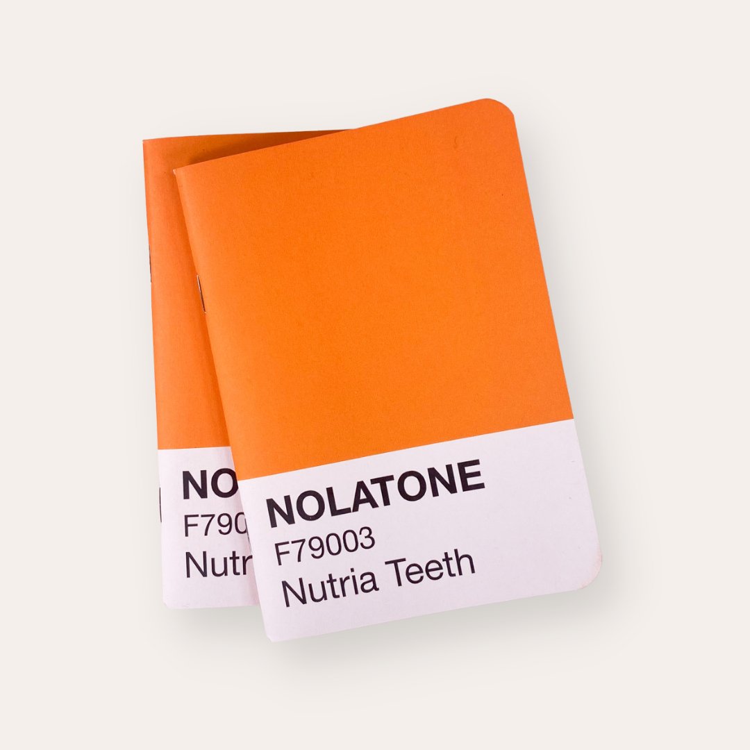 NOLATONE Notebook : Nutria Teeth - Dirty Coast Press