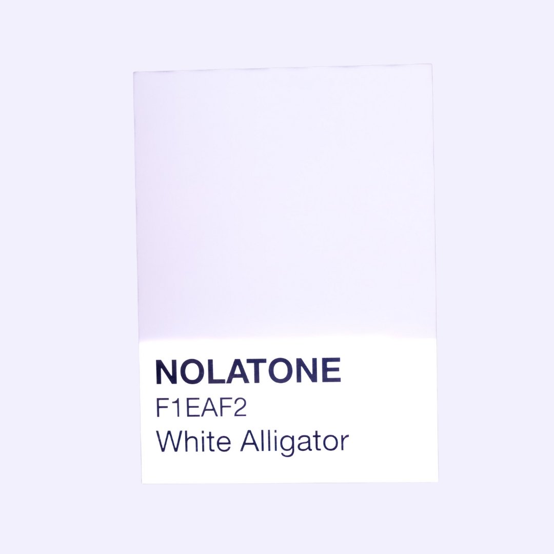 Nolatones Postcard - White Alligator - Dirty Coast Press