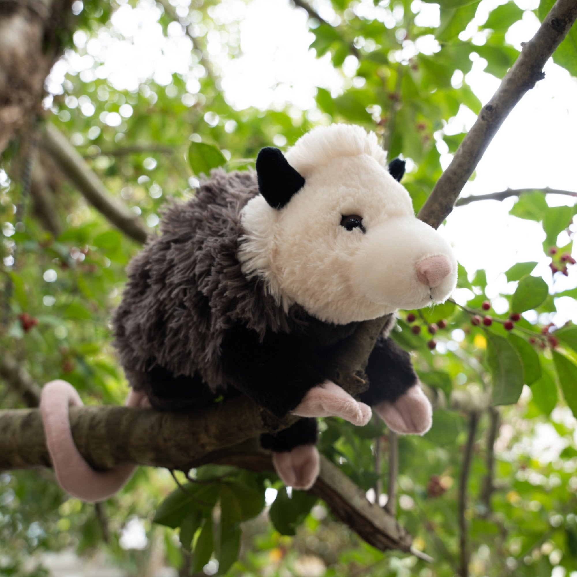 Giant store possum plush