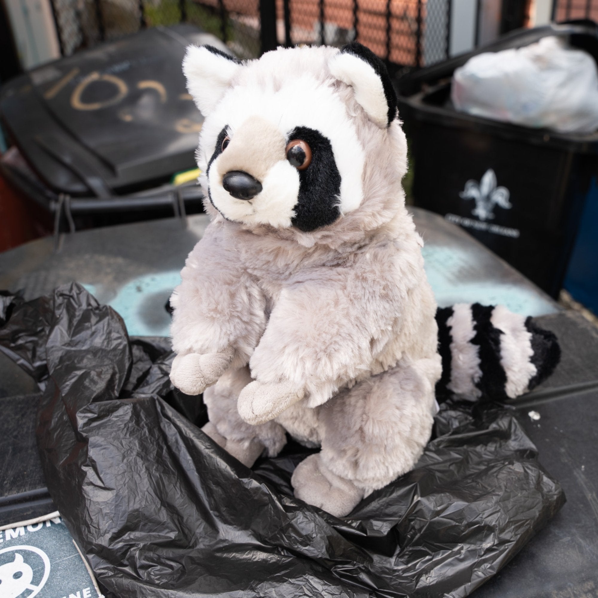 Giant store raccoon plush